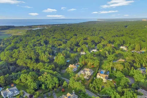a view of a big yard with lots of bushes