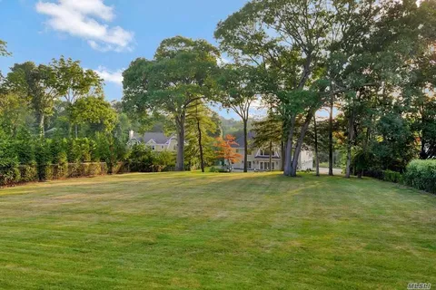 a tall trees with a big yard