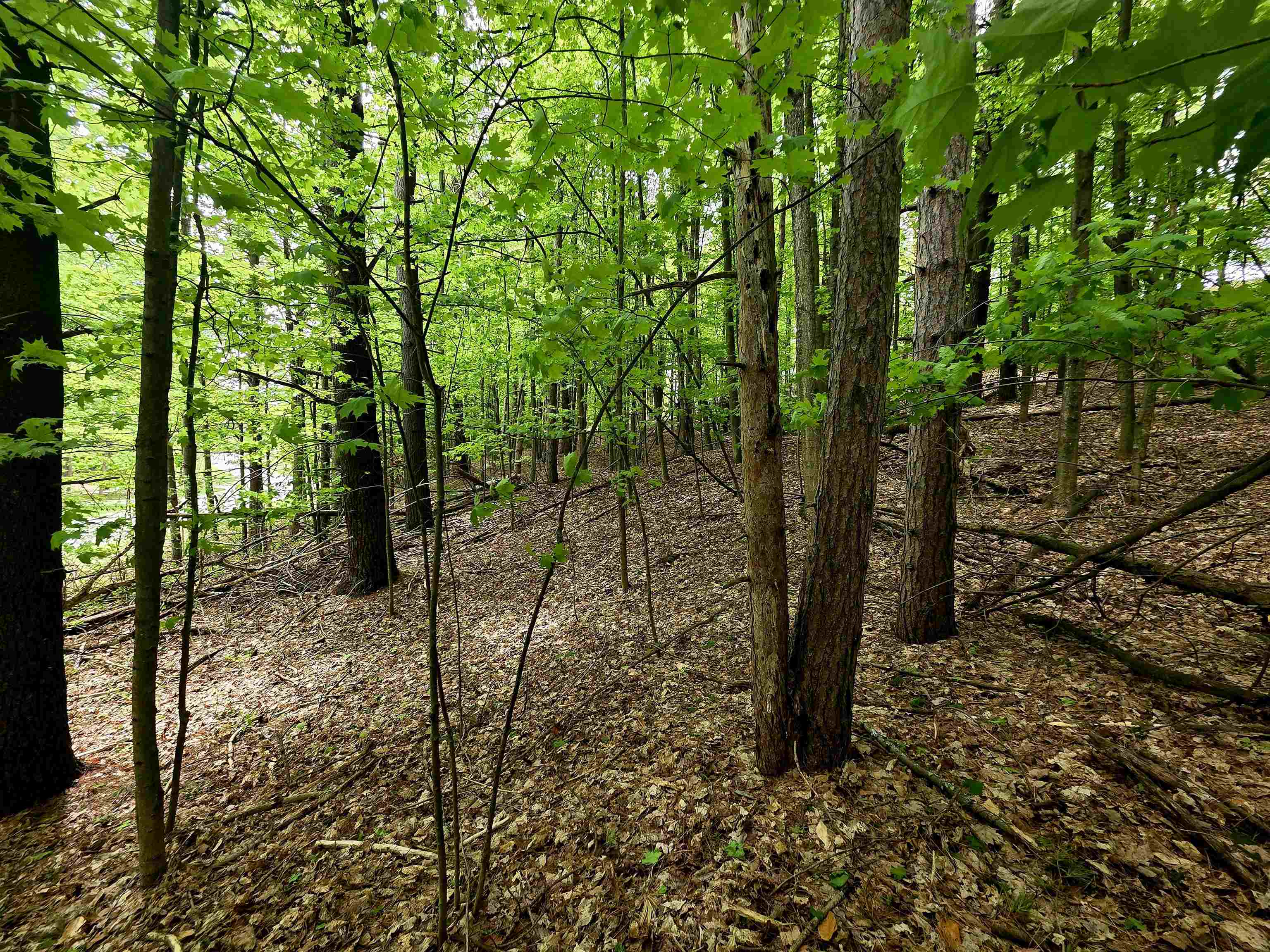 0 Sugarbush Road Kewadin, MI 49648 - Photo 12 of 19