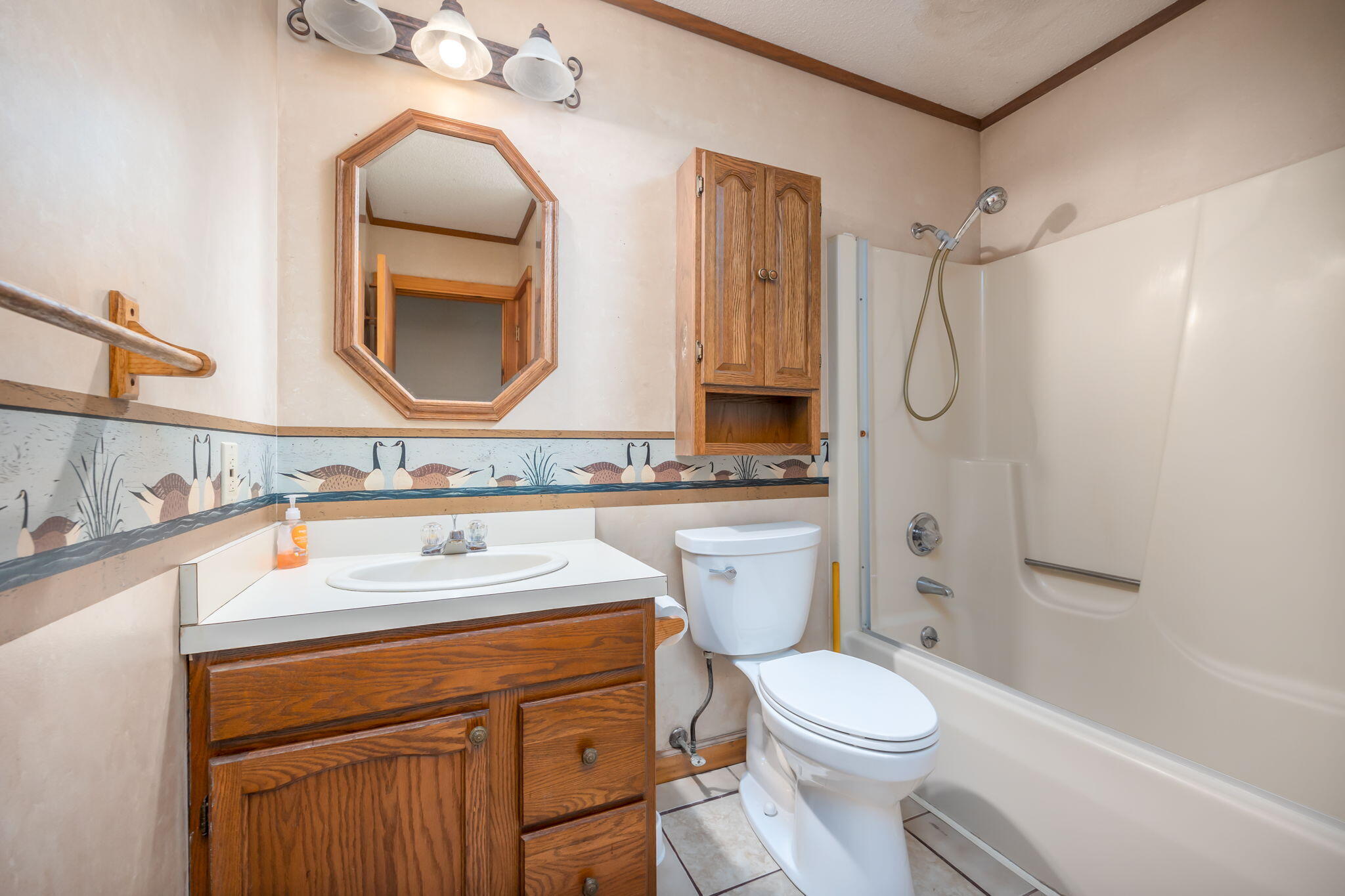 11299 Alpine Road Canadian Lakes, MI 49346 - Photo 9 of 25 9-web-or-mls-5L7A1570-Edit