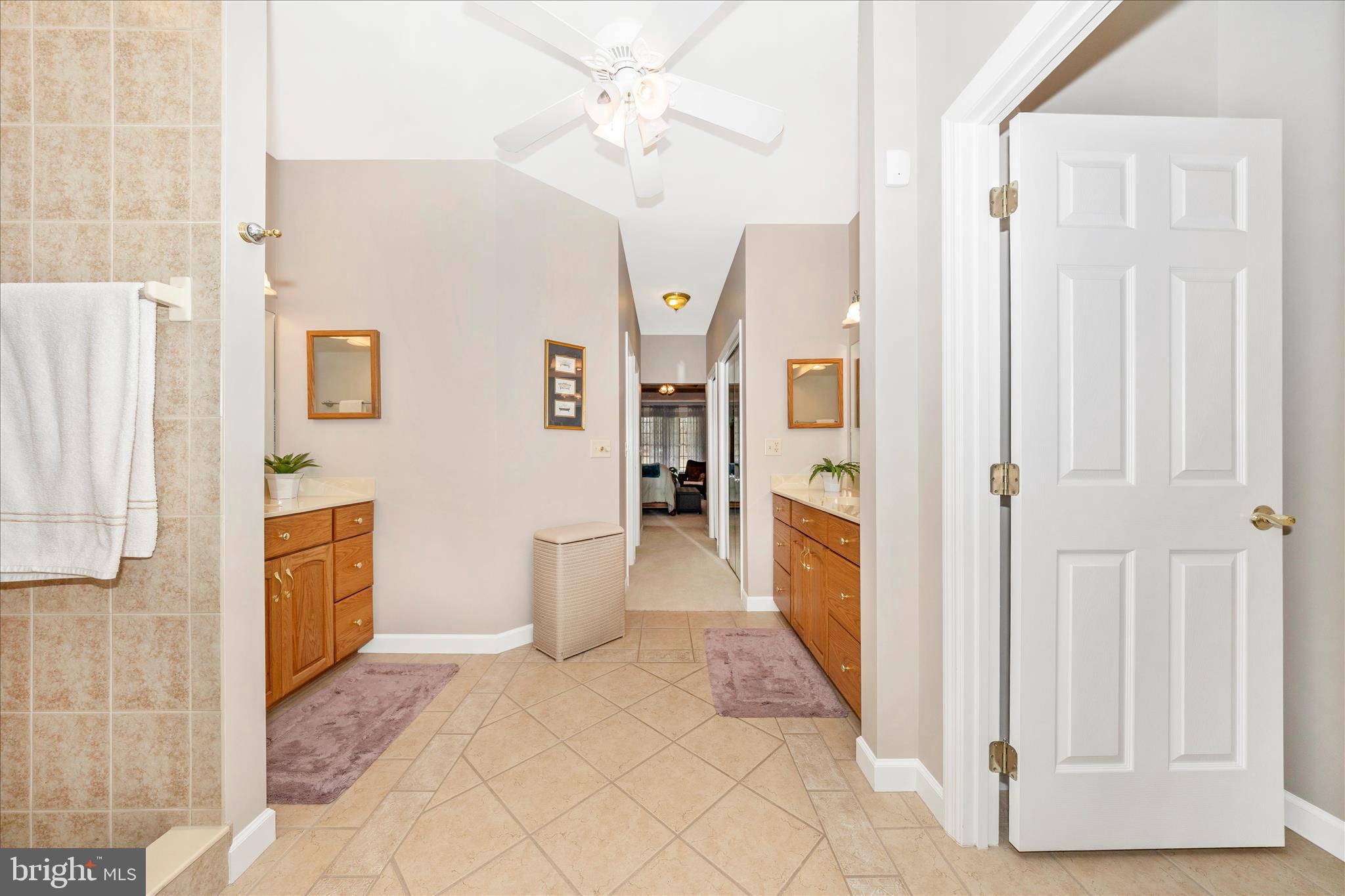 8971 Light Street Williamsport, MD 21795 - Photo 30 of 53 a bathroom with a sink and a mirror
