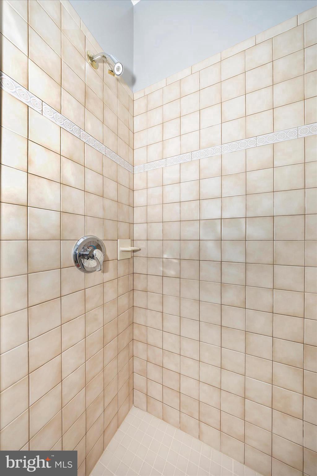 8971 Light Street Williamsport, MD 21795 - Photo 36 of 53 a bathroom with a shower