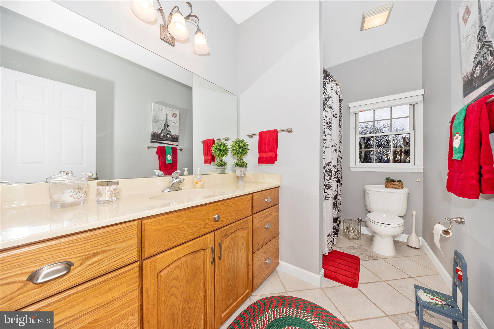 8971 Light Street Williamsport, MD 21795 - Photo 41 of 53 a bathroom with a sink vanity mirror and shower