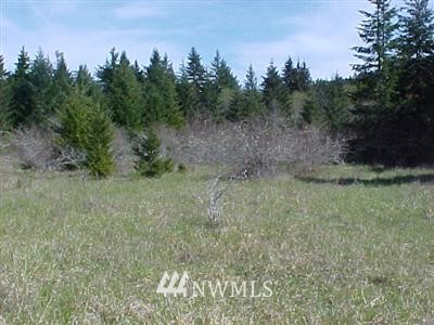 5 Cloquallum Road Shelton, WA 98584 - Photo 1 of 1 Gallery Image 1
