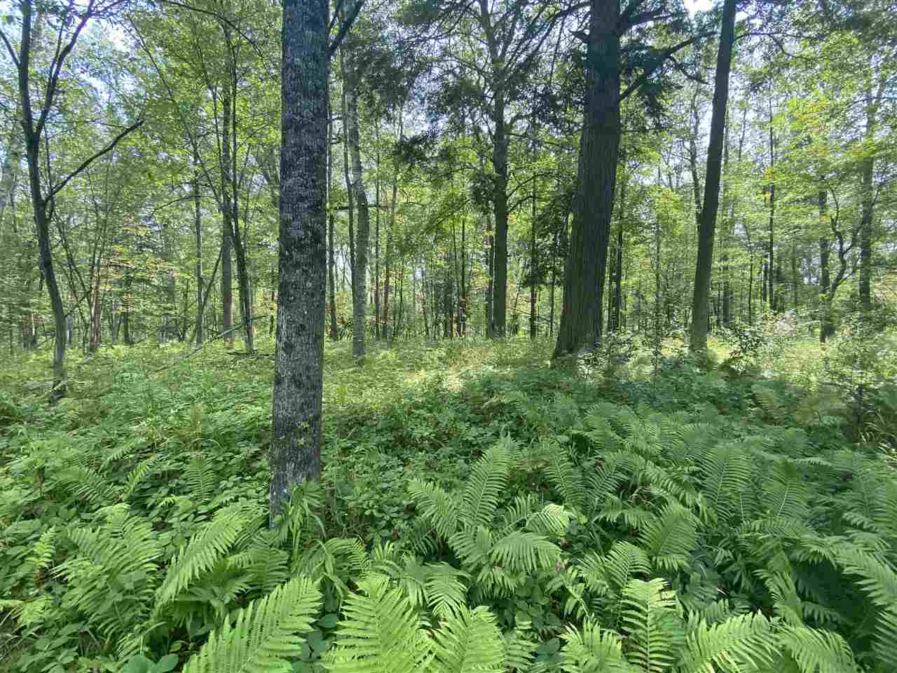 0 Briggs Road Omer, MI 48749 - Photo 22 of 45