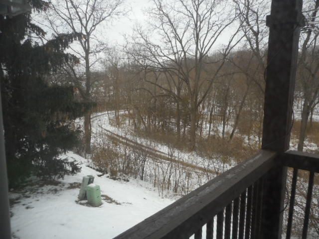 710 Timothy Court East Dundee, IL 60118 - Photo 18 of 25 a view of fountain and a yard