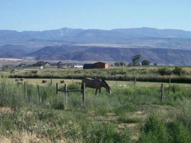4614 233rd Road Rifle, CO 81650 - Photo 3 of 6 a view of lake and mountain view