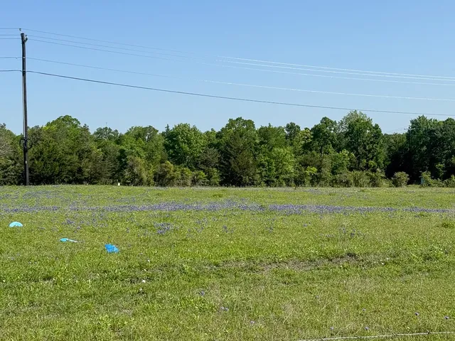 a view of a field of grass and trees