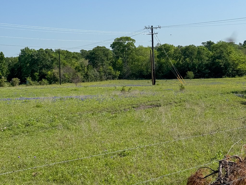 12 Fm 149 Rd Road West Anderson, TX 77830 - Photo 3 of 13 a view of a green field