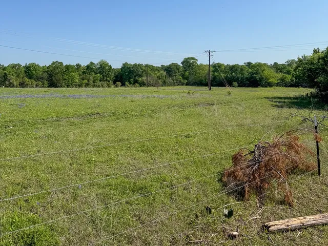 a view of a field with trees in the background