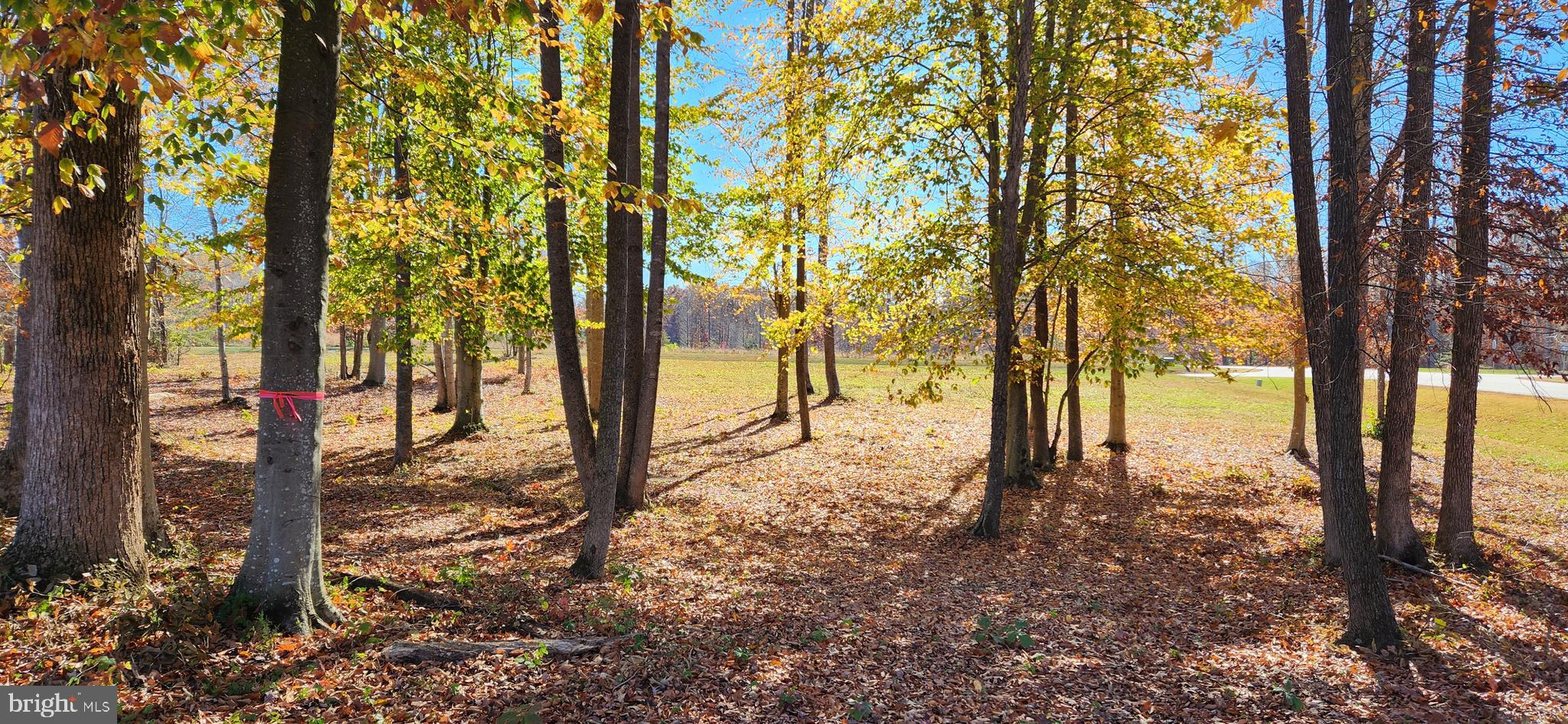 9 Rainbow Ridge Bumpass, VA 23024 - Photo 17 of 20