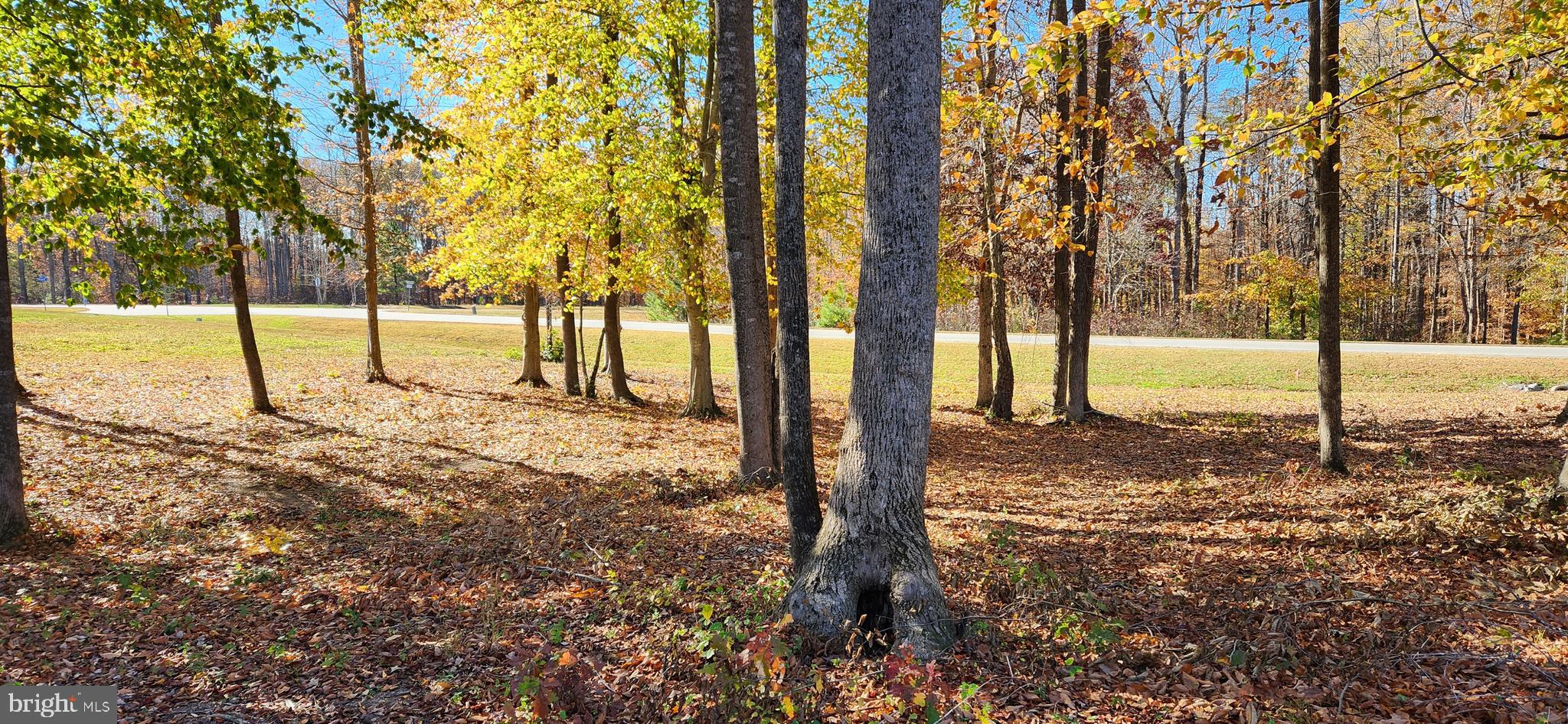 9 Rainbow Ridge Bumpass, VA 23024 - Photo 18 of 20