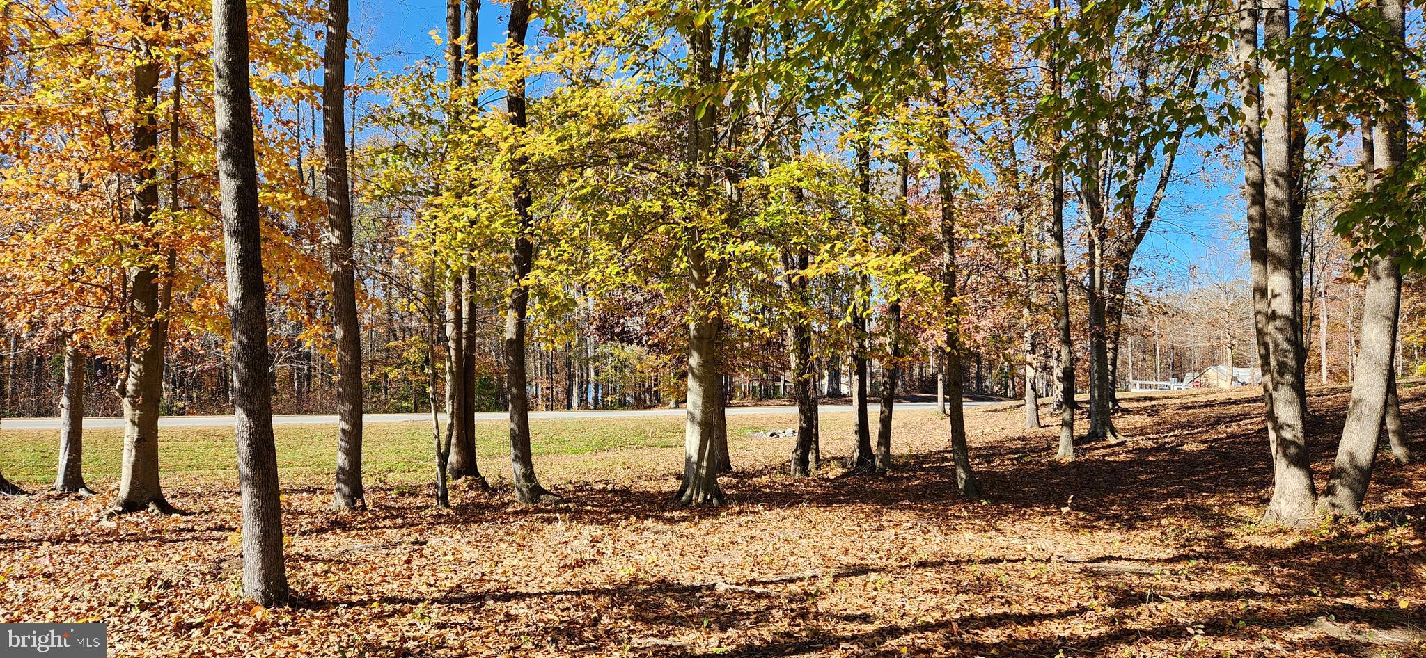 9 Rainbow Ridge Bumpass, VA 23024 - Photo 19 of 20