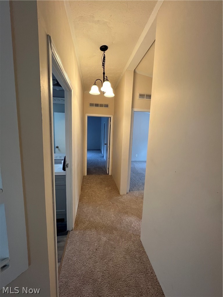 11850 Conquer Hill Road Byesville, OH 43723 - Photo 10 of 23 Gallery Image 10