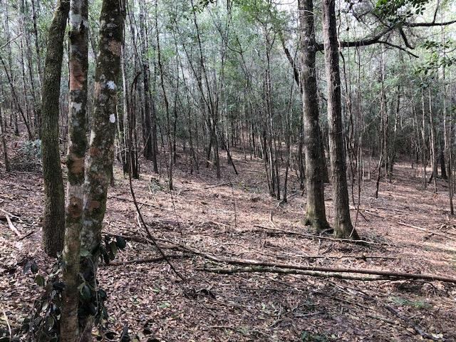 25-ac Gantt Road Andalusia, AL 36421 - Photo 34 of 36 Gallery Image 34