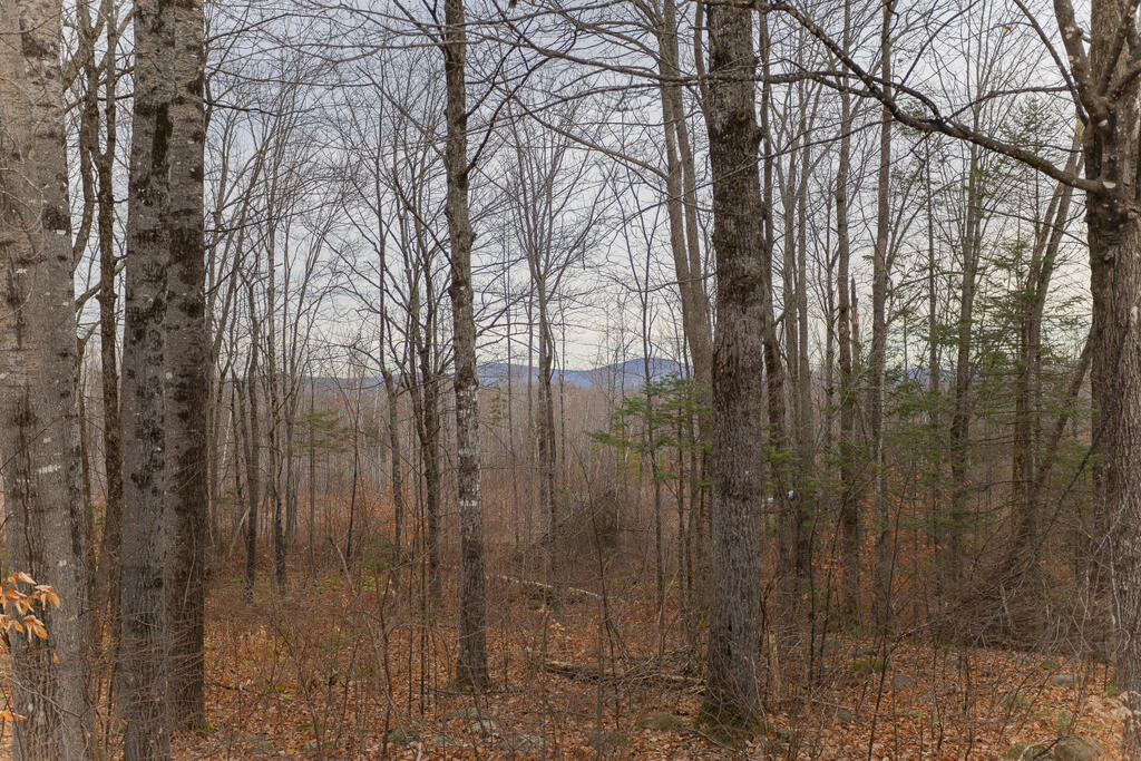 508 Shaw Hill Road Industry, ME 04938 - Photo 27 of 28 sandyriverrealty-5