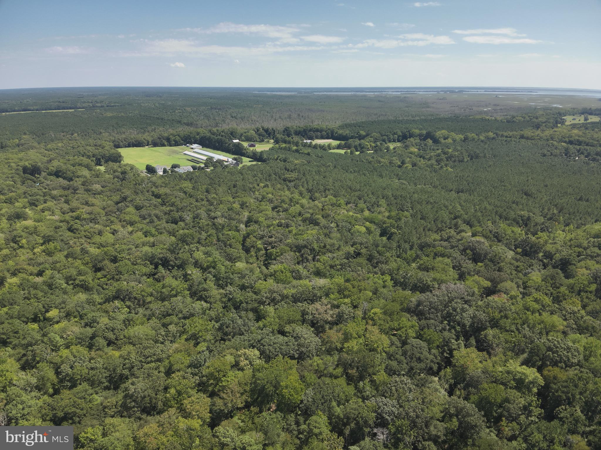 Jesterville Road Tyaskin, MD 21865 - Photo 14 of 37 Gallery Image 14