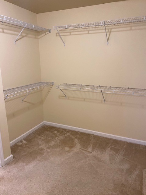 3018 Langston Place Spring Hill, TN 37174 - Photo 26 of 33 a view of a room with racks on the wall