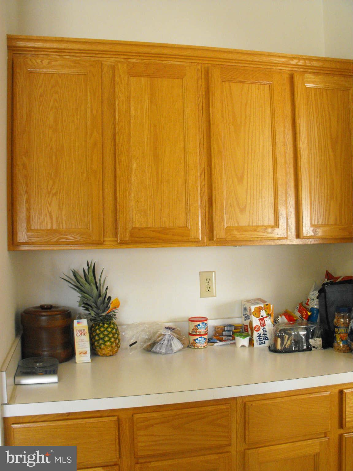 3210 Riva Ridge Court Bowie, MD 20721 - Photo 12 of 27 Lots of Cabinets