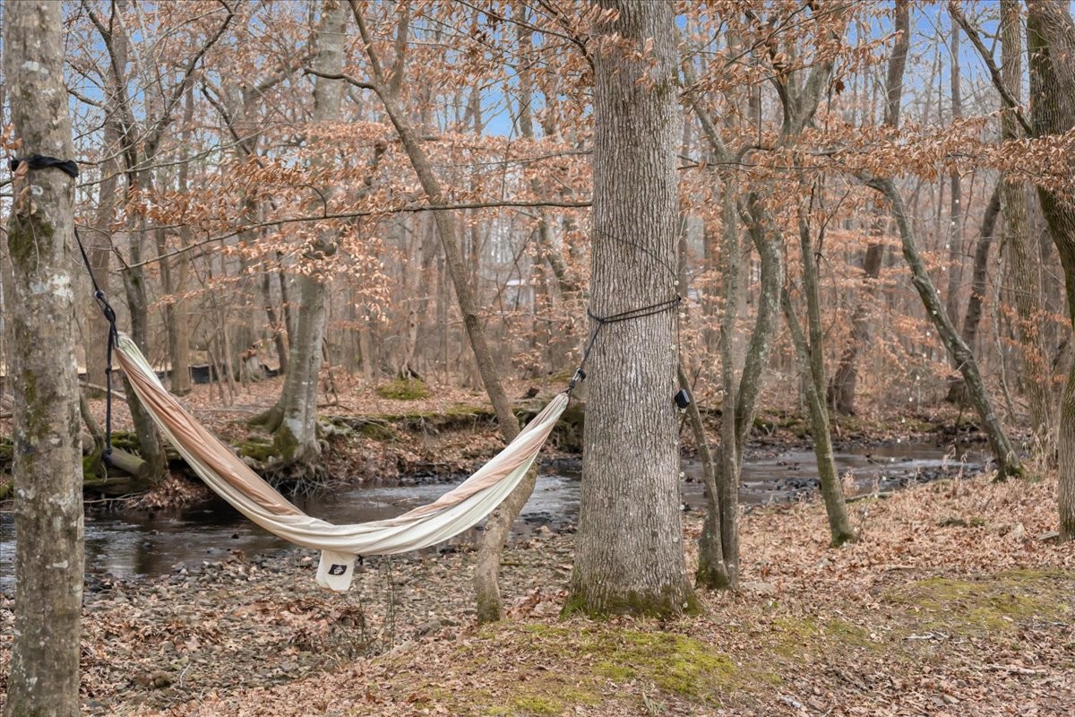 1007 Sycamore Drive Manchester, TN 37355 - Photo 59 of 100