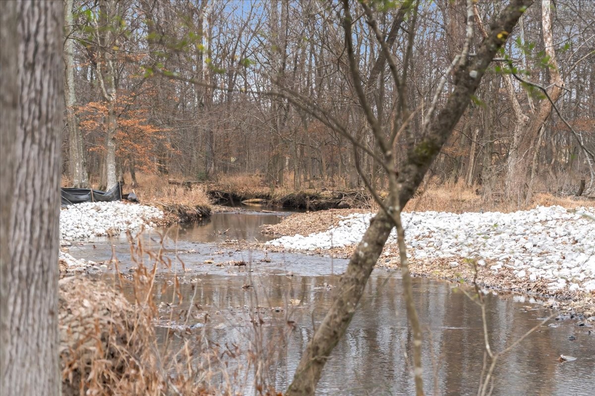1007 Sycamore Drive Manchester, TN 37355 - Photo 60 of 100
