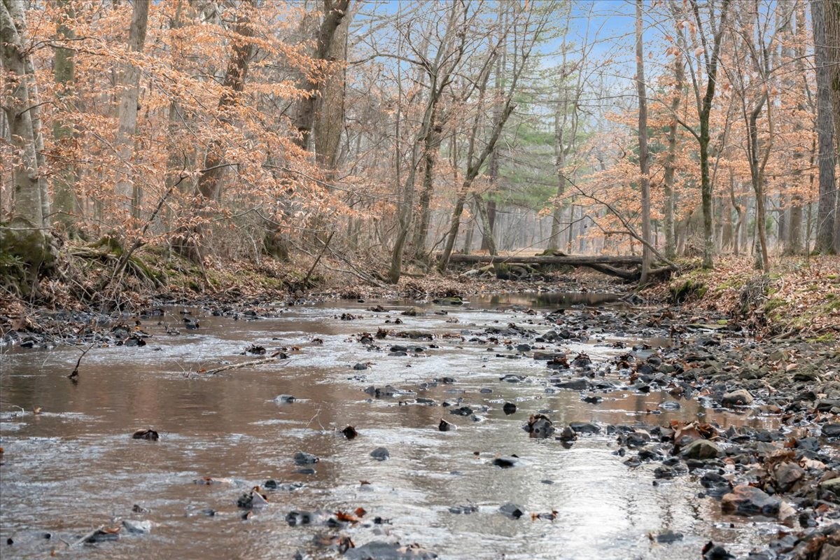 1007 Sycamore Drive Manchester, TN 37355 - Photo 62 of 100 a view of a backyard of the house