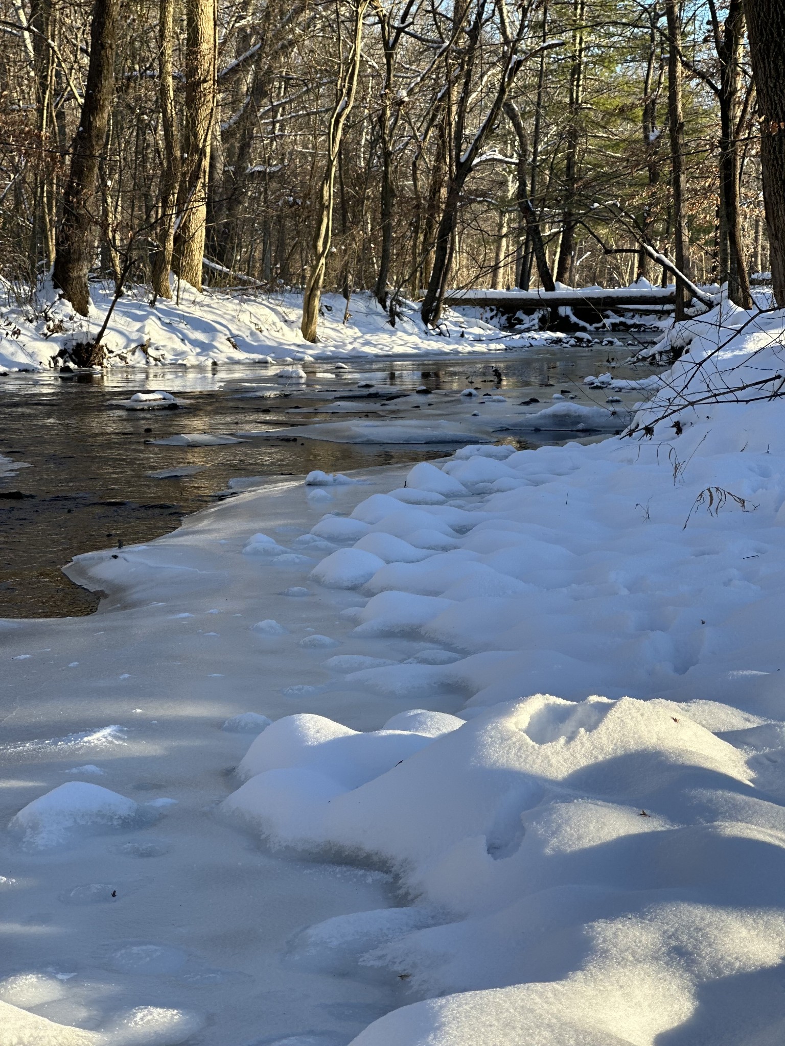 1007 Sycamore Drive Manchester, TN 37355 - Photo 83 of 100