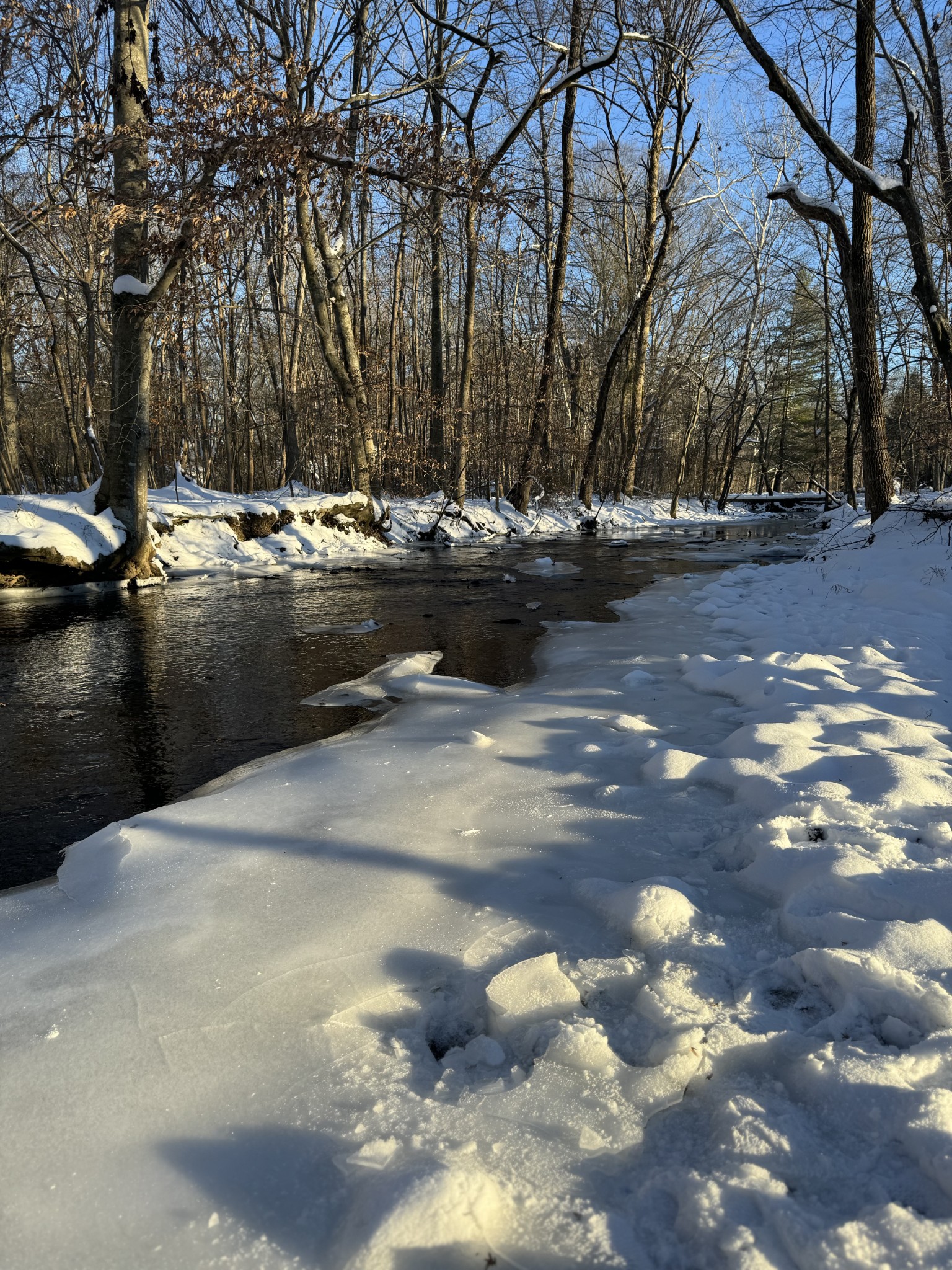1007 Sycamore Drive Manchester, TN 37355 - Photo 85 of 100