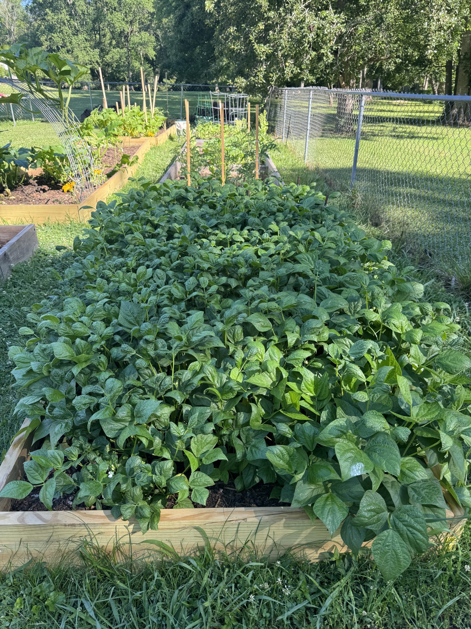 1007 Sycamore Drive Manchester, TN 37355 - Photo 86 of 100