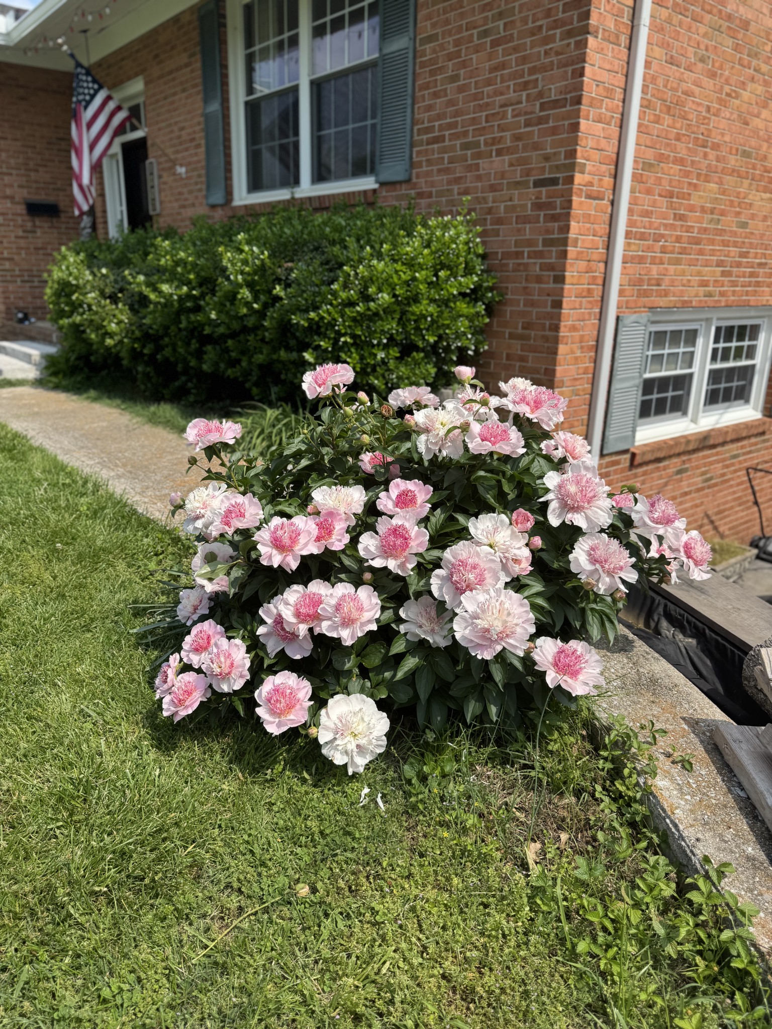 1007 Sycamore Drive Manchester, TN 37355 - Photo 93 of 100