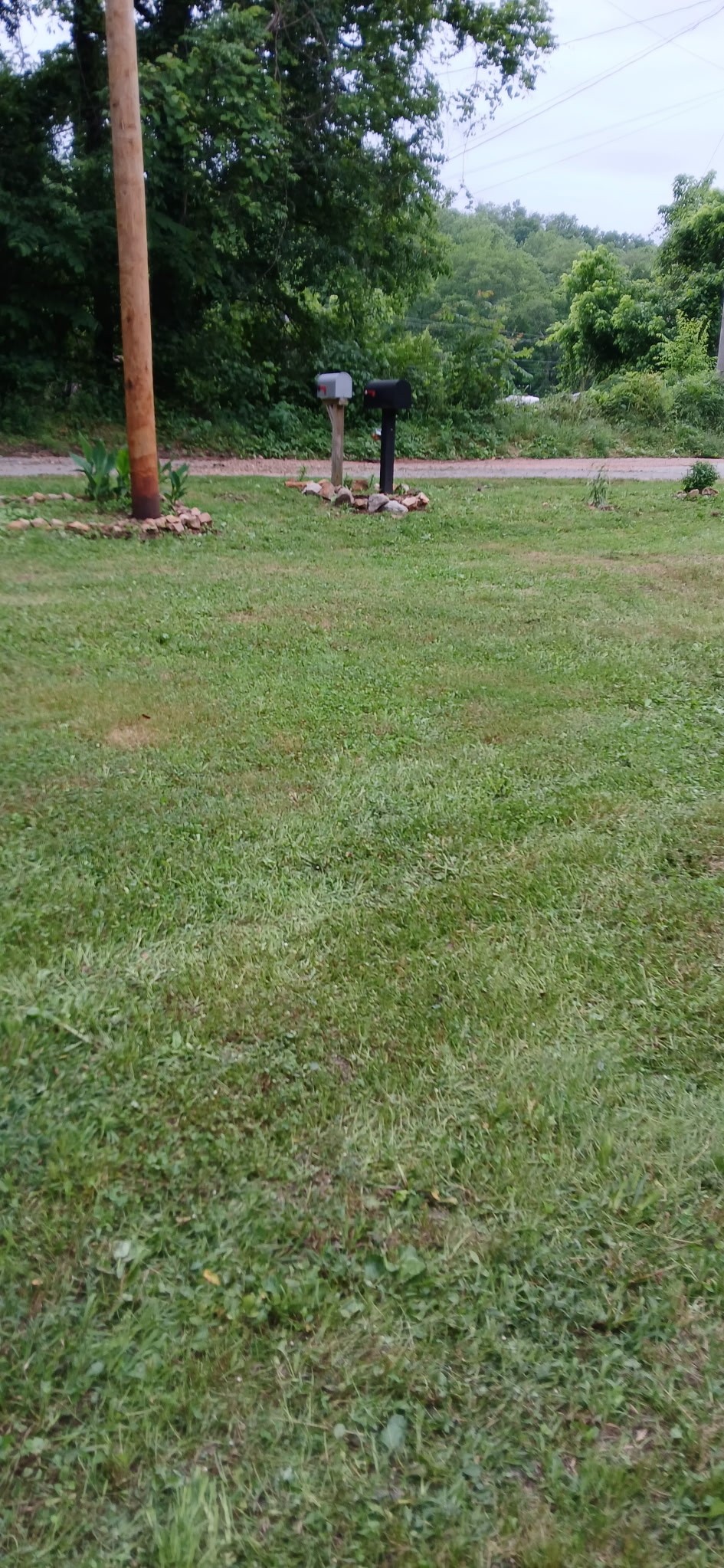 104 Moss Spring Hollow Road Centerville, TN 37033 - Photo 14 of 14 Gallery Image 14