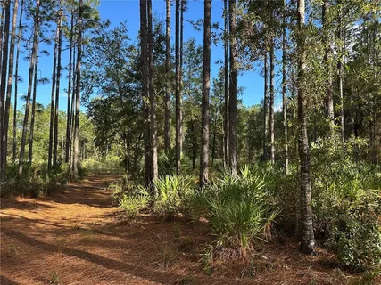 a view of a street with a building in the background