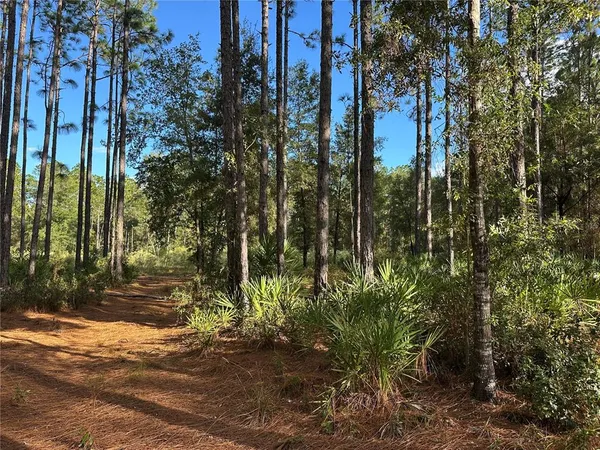 a view of a street with a building in the background