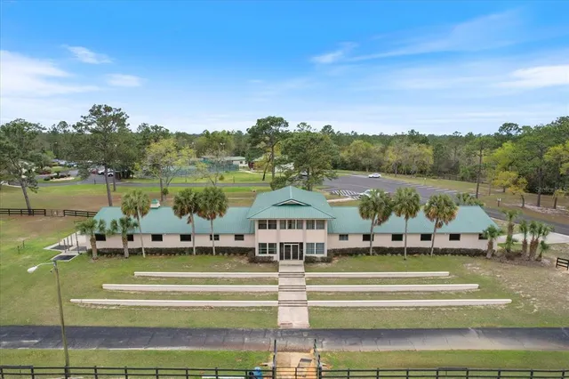a view of a park with large trees