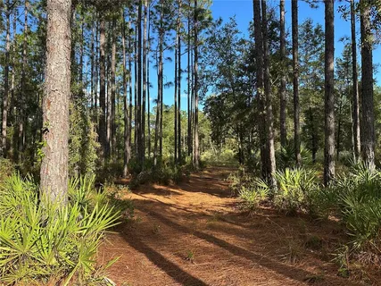 a view of backyard of a house