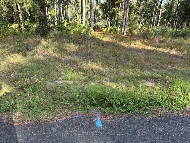 a view of a yard with a tree
