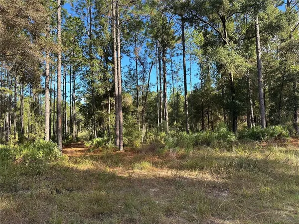 a view of outdoor space and trees