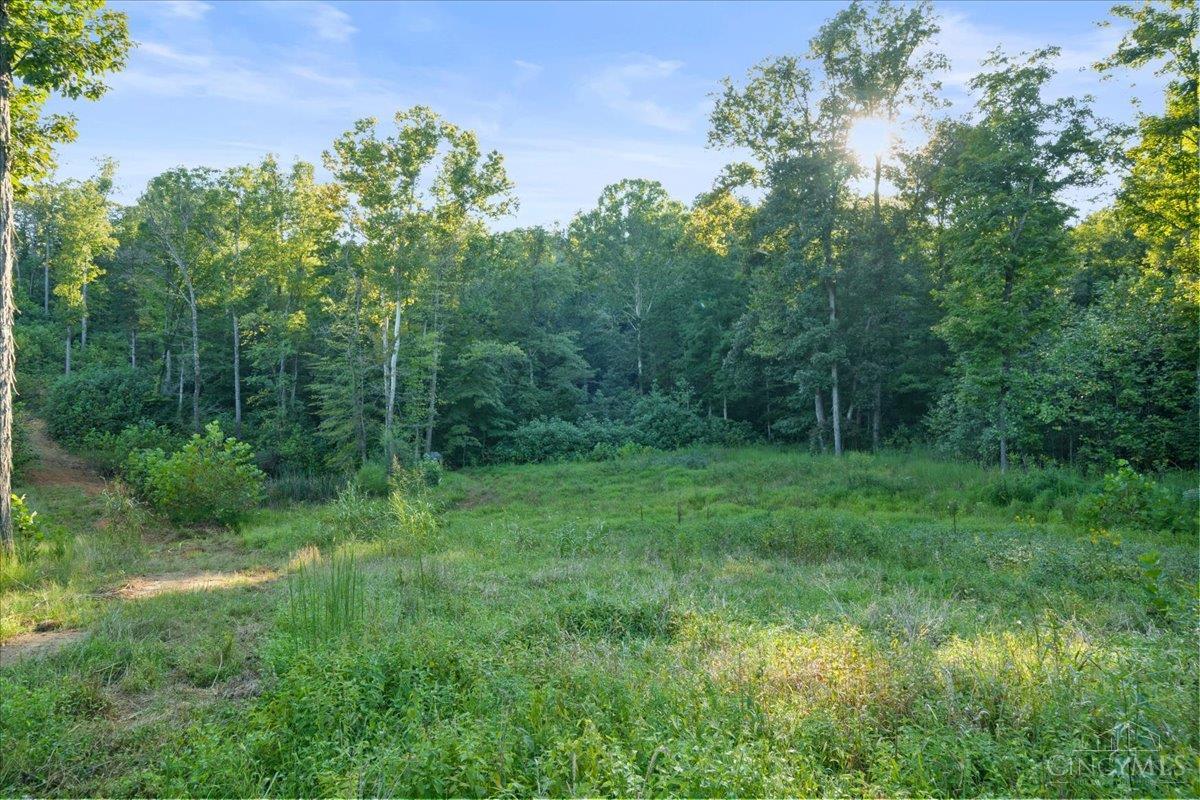 Acres Waggoner Riffle Road West Union, OH 45693 - Photo 7 of 29 Gallery Image 7