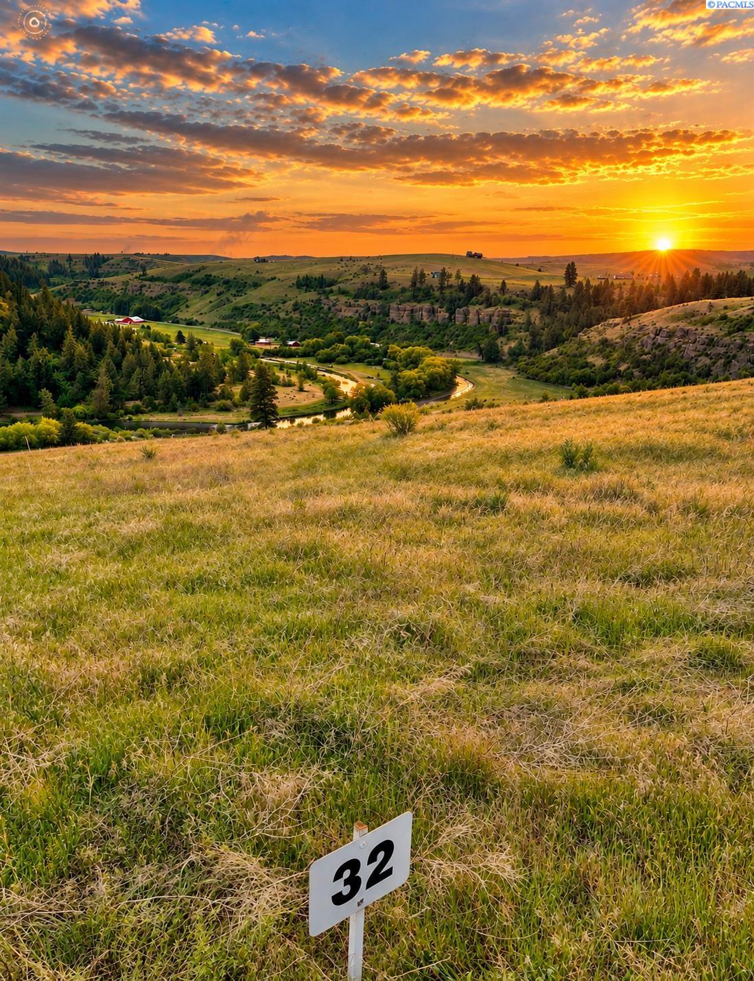Lot 32 Red Tail Ridge Colfax, WA 99111 - Photo 1 of 6 Gallery Image 1