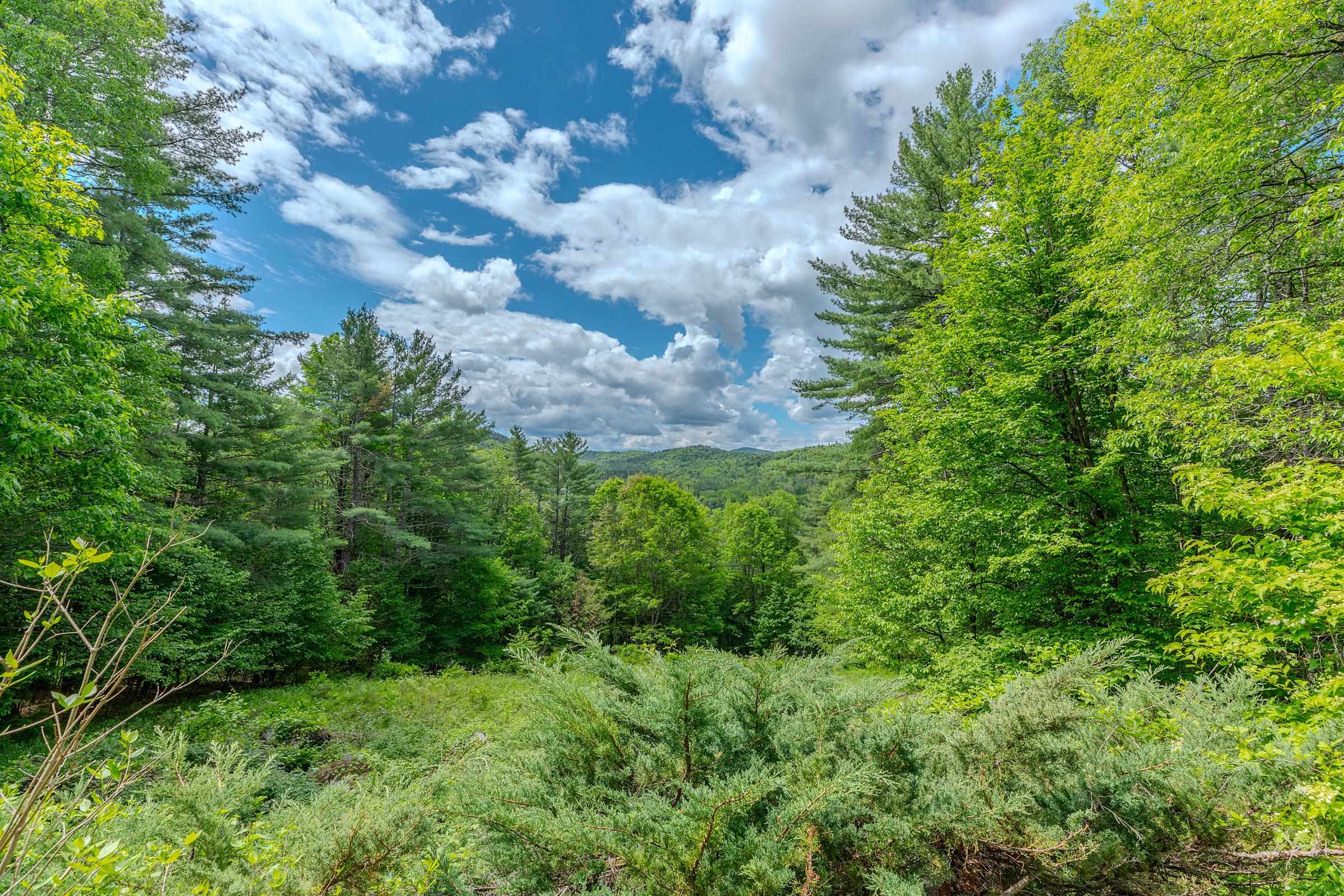 223 Coach Road Chester, VT 05143 - Photo 2 of 44
