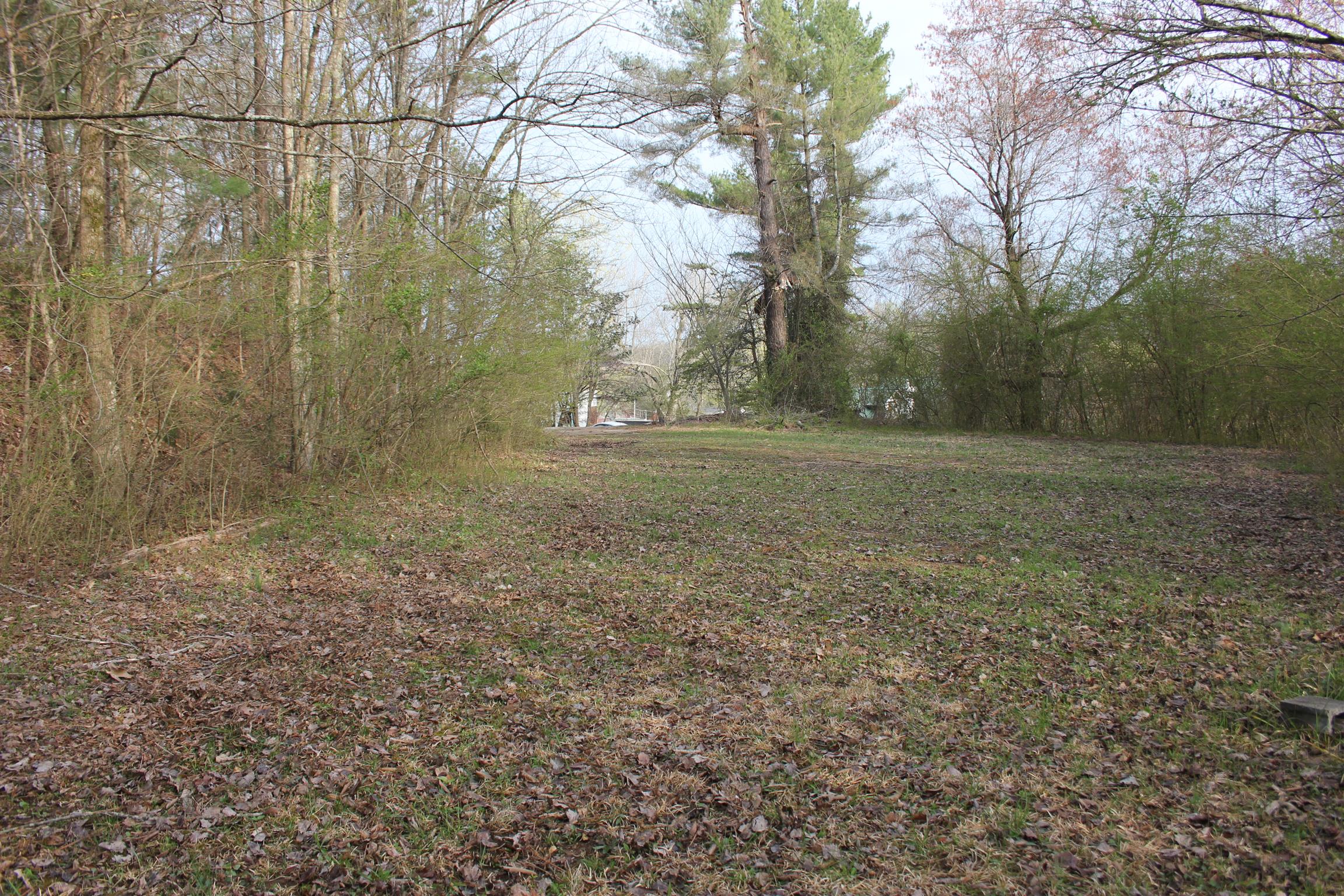 0 Capps Hill Road Waverly, TN 37185 - Photo 1 of 3 Gallery Image 1