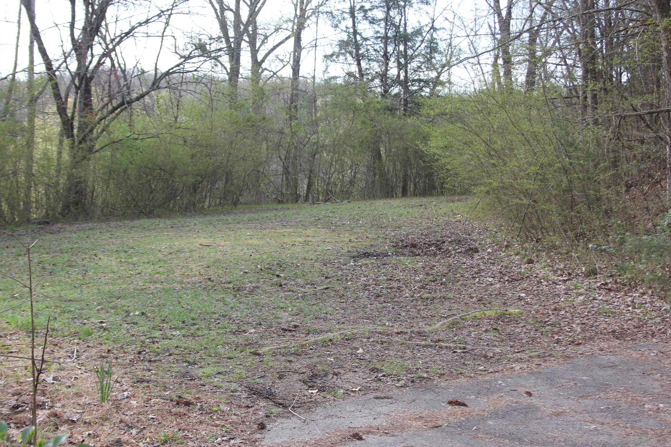 0 Capps Hill Road Waverly, TN 37185 - Photo 2 of 3 Gallery Image 2