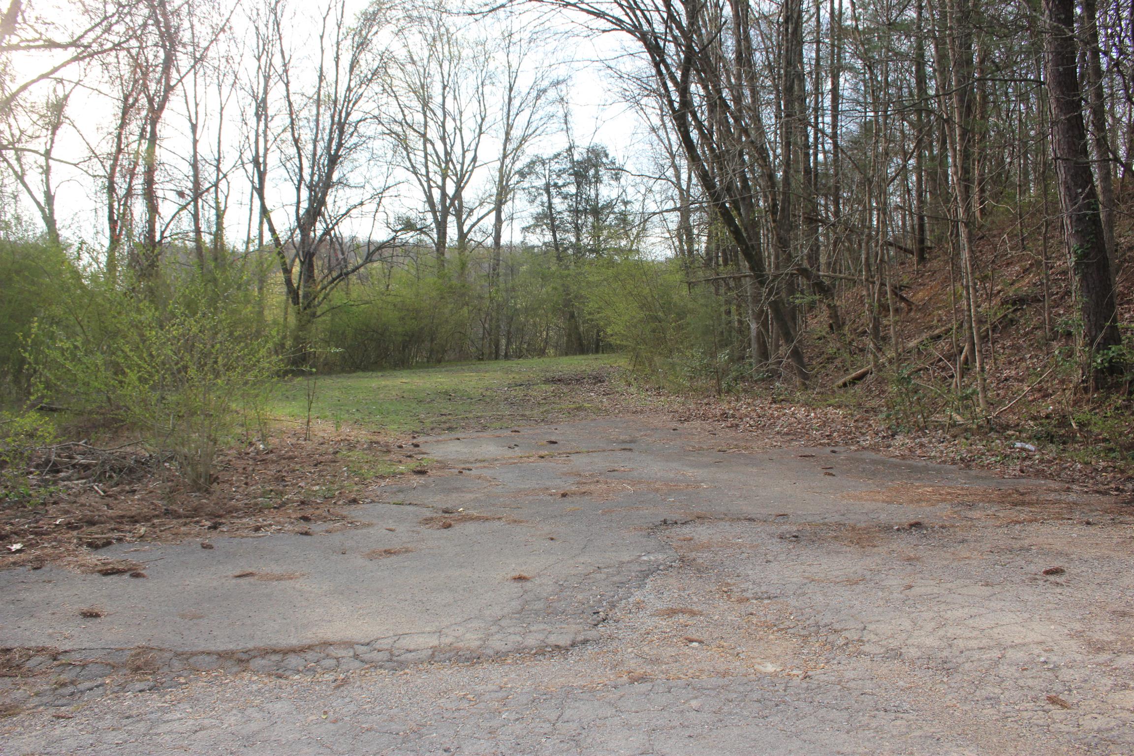 0 Capps Hill Road Waverly, TN 37185 - Photo 3 of 3 Gallery Image 3