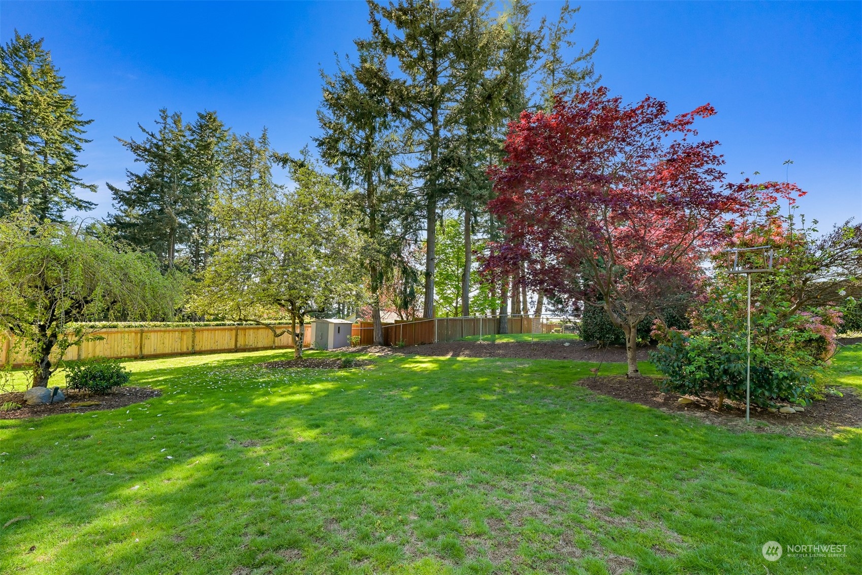 414 Fieldston Road Bellingham, WA 98225 - Photo 27 of 27 a view of a backyard with large trees