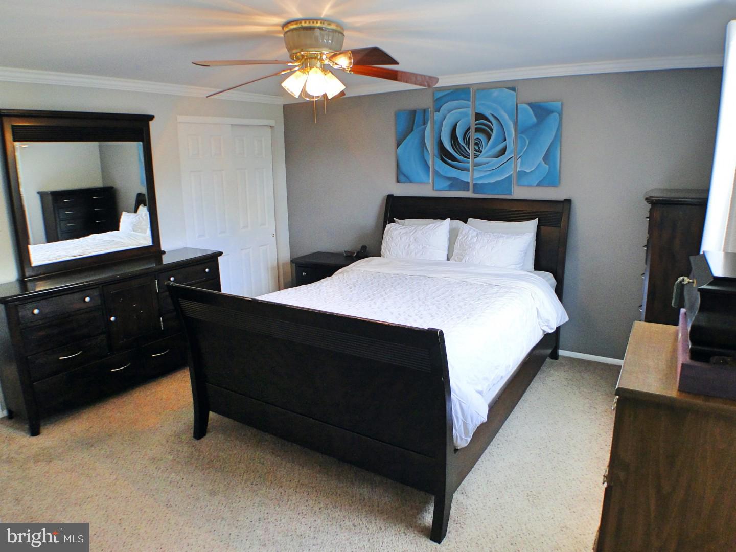 279 Norfolk Road Warminster, PA 18974 - Photo 17 of 41 Master Bedroom 1