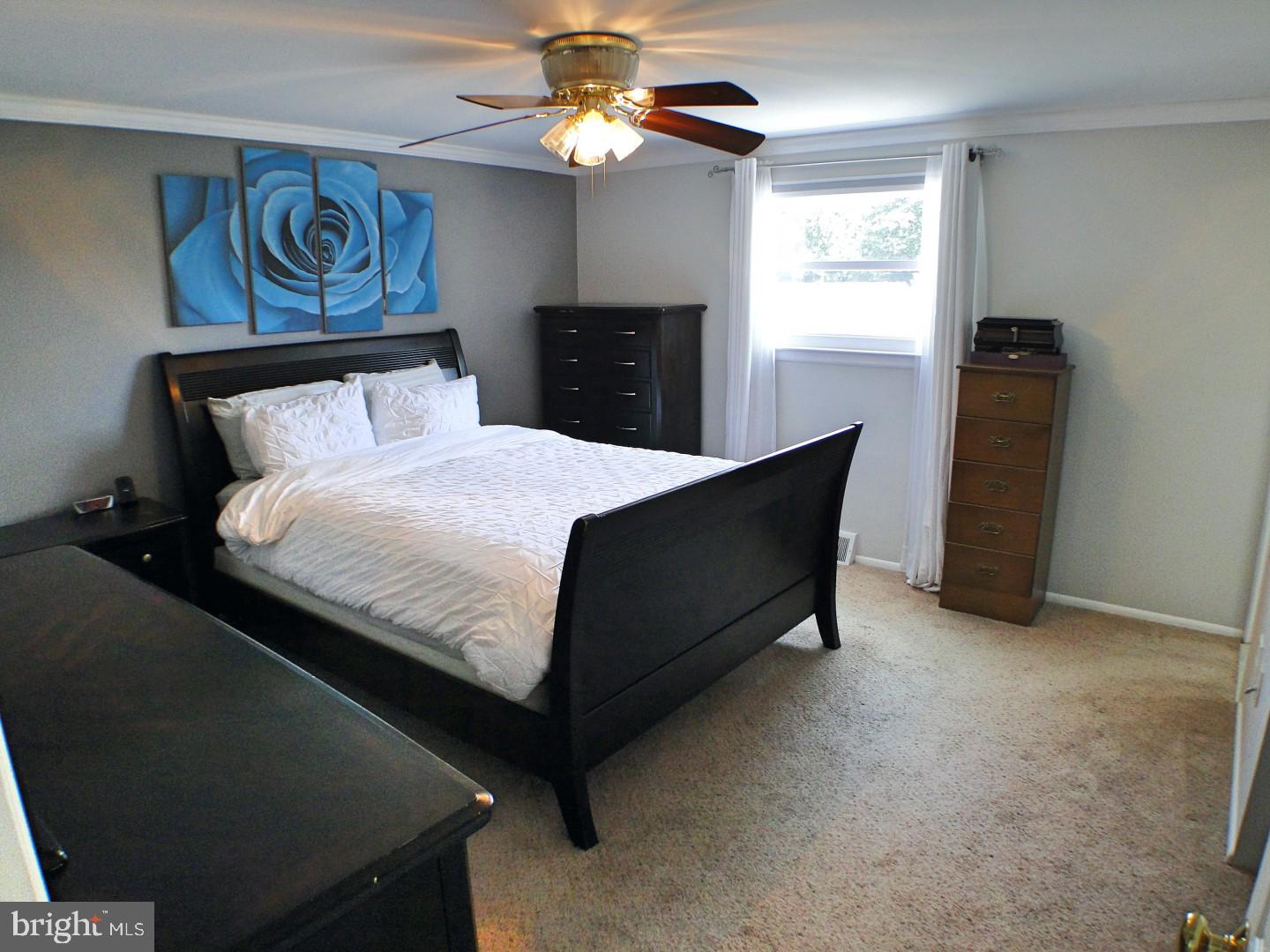 279 Norfolk Road Warminster, PA 18974 - Photo 18 of 41 Master Bedroom 1