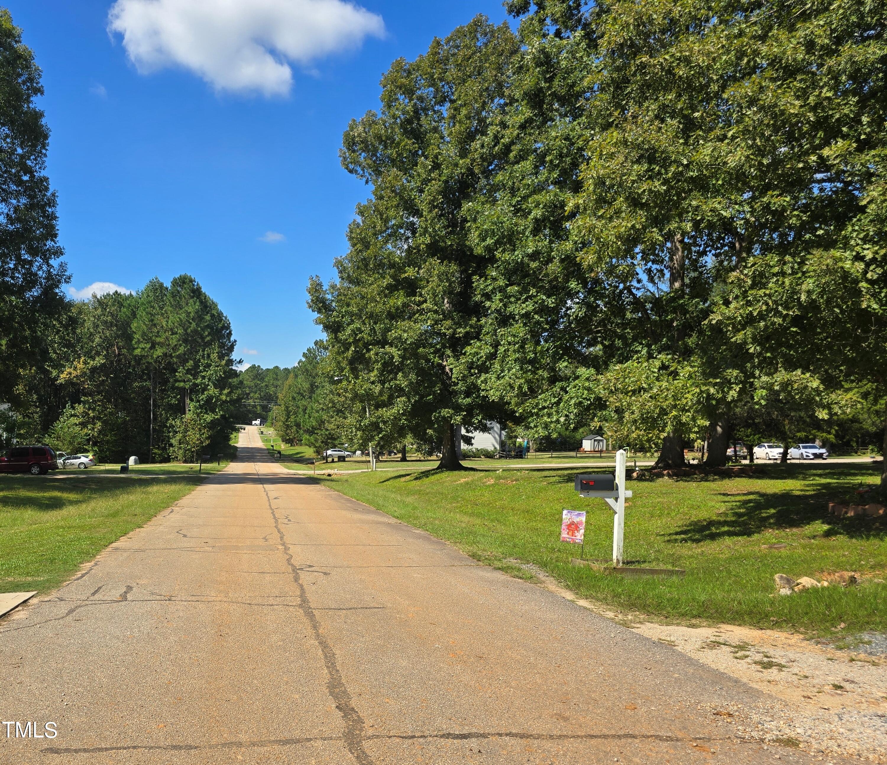 597 Gold Valley Road Spring Hope, NC 27882 - Photo 31 of 31 Road View