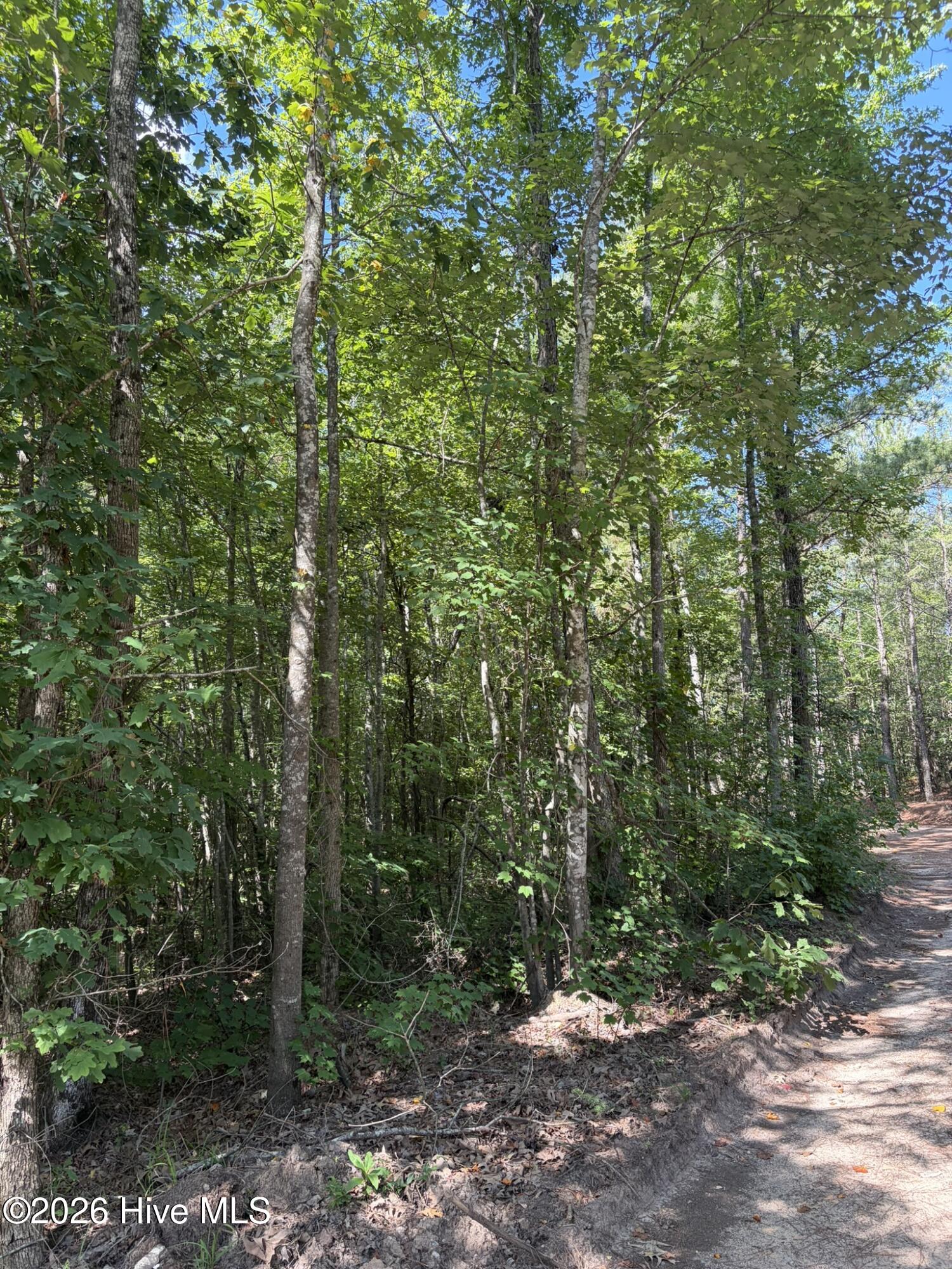 Tbd Green Road Ellerbe, NC 28338 - Photo 5 of 23