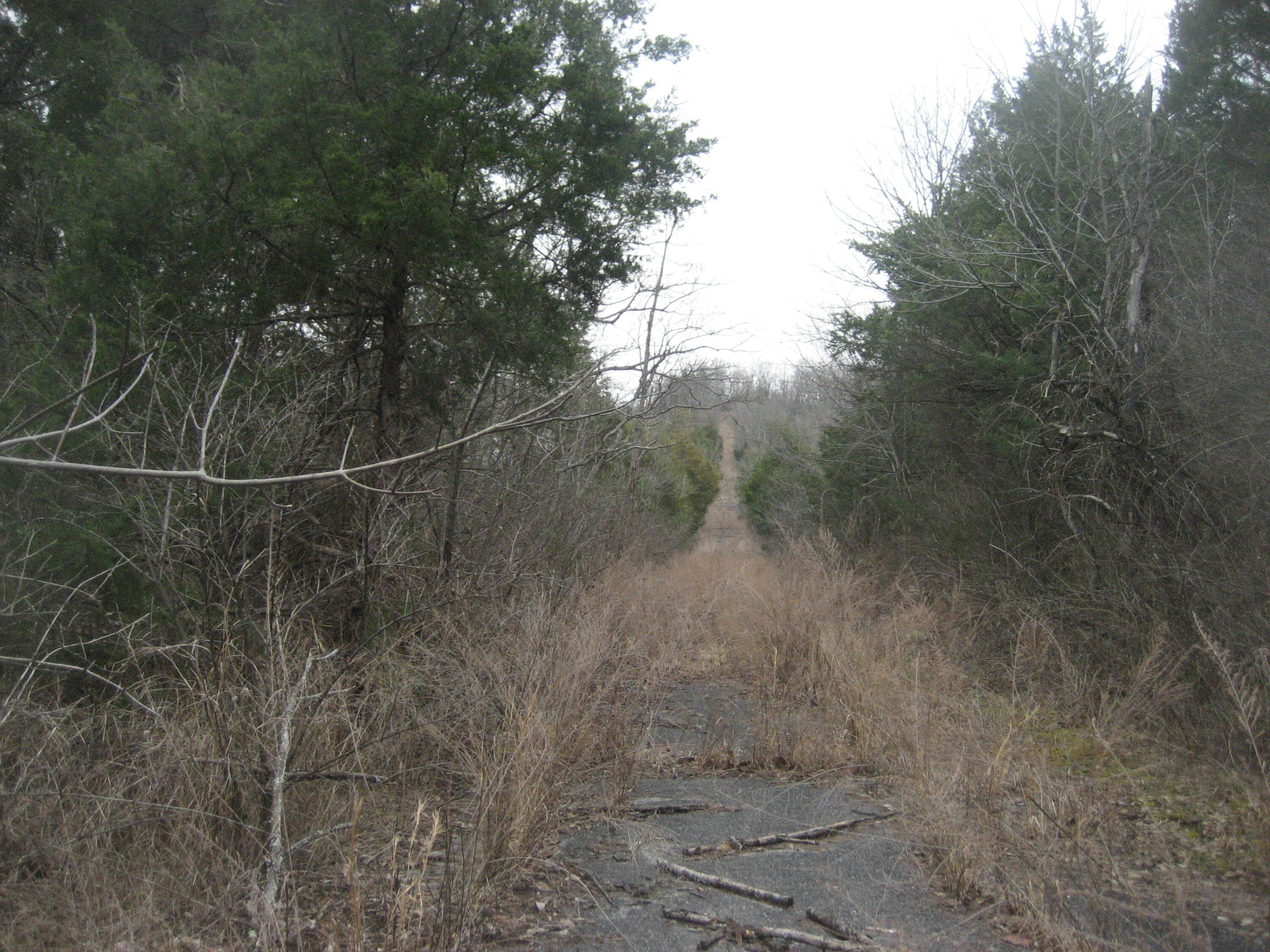 1235 Rutherford School Road Lawrenceburg, KY 40342 - Photo 30 of 31 IMG_1370