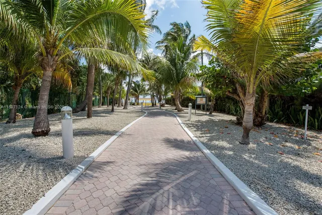 a view of a yard with palm trees